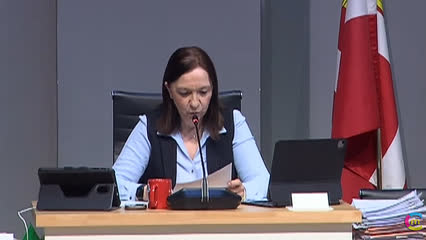 Pleno Municipal - Febrero 2026